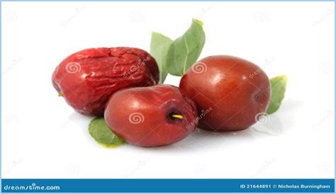 What is Fructus Jujubae?