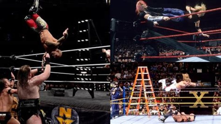 10 Best WWE Ladder Matches, According To Dave Meltzer