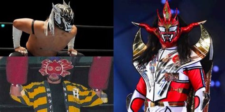 10 Crazy Japanese Wrestling Masks American Fans Have To See