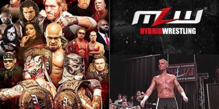 10 Things Fans Should Know About The Legends Of Wrestling Video Games