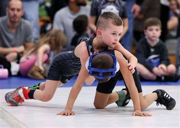 10 Wrestling Kids Who Tried The Family Business (But Dropped Out)