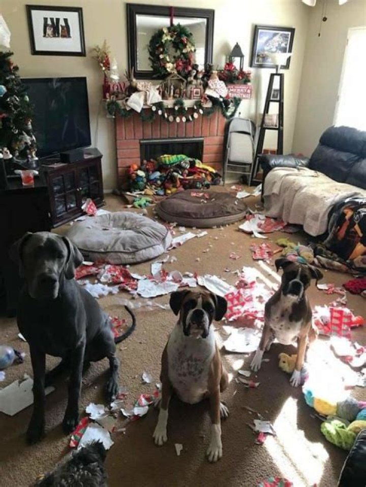 11 Hilarious Christmas Decoration Fails