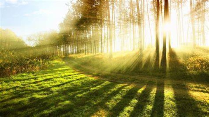🔥 Download Sunlight HD Wallpaper This by staceyg Sunlight Wallpapers