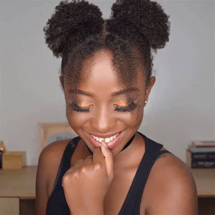 15 Natural Hairstyle Ideas Natural, Curly, and Braided Hair