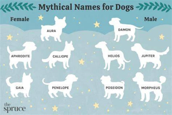 150 Mythical Names For Dogs