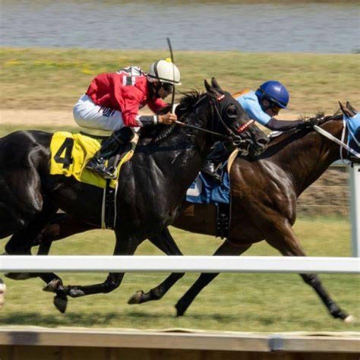 $244,567 Worth Horse Shocks Equestrian World With 7–1 Upset in Grade 3 Stakes