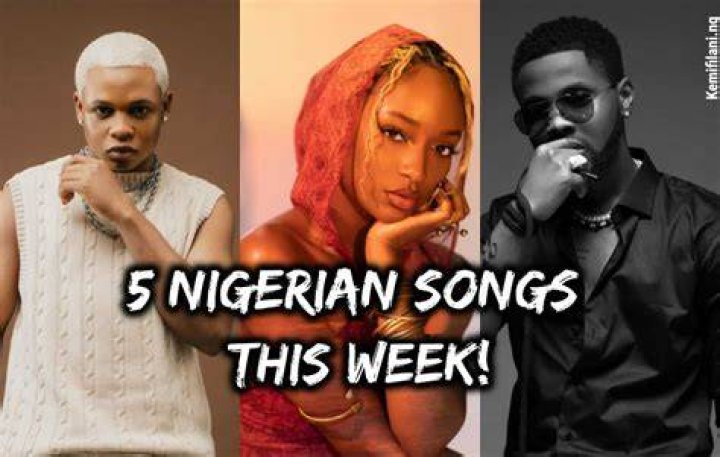 25 Best Photos Latest Nigerian Hair Braids Top 20 Latest Hairstyles
