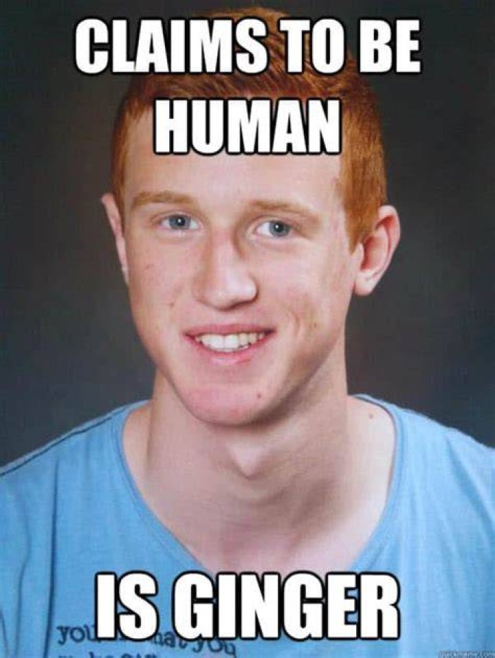 30 Ginger Memes That Are Way Too Witty Ginger