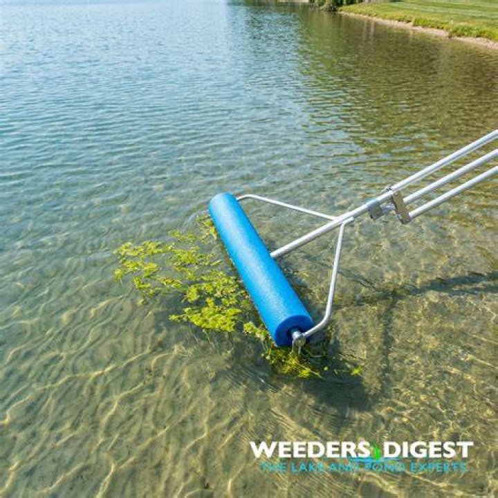 6 Best Tools for Removing Lake and Pond Weeds