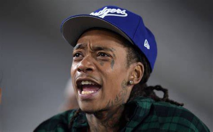 9 Times Celebrities Got Involved In MMA