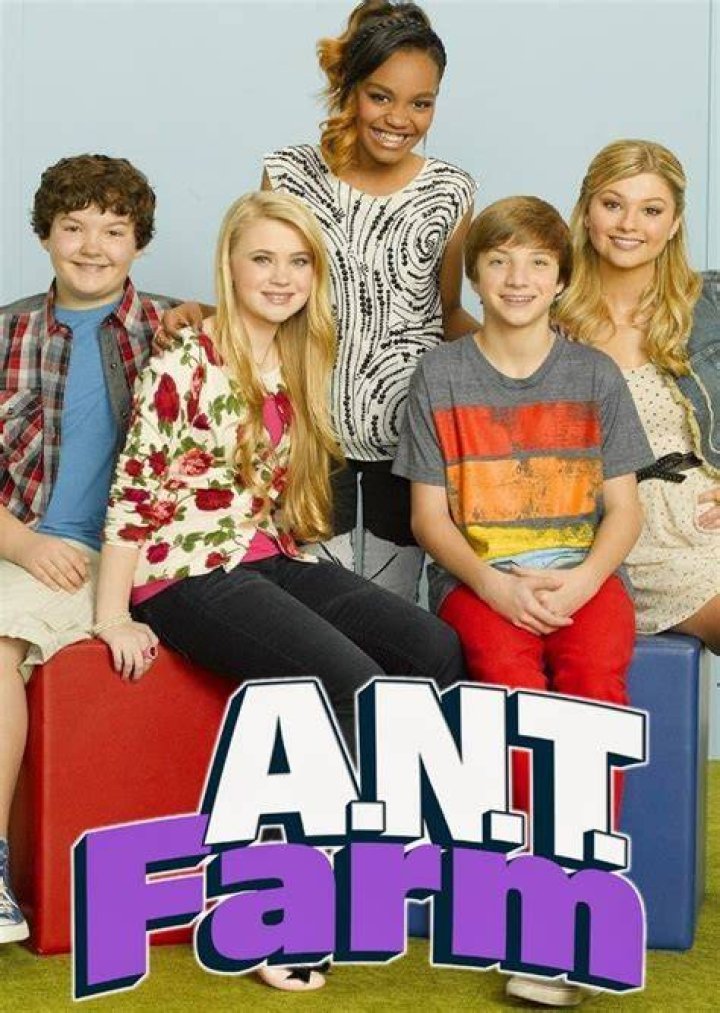 A.N.T. Farm Fan Casting