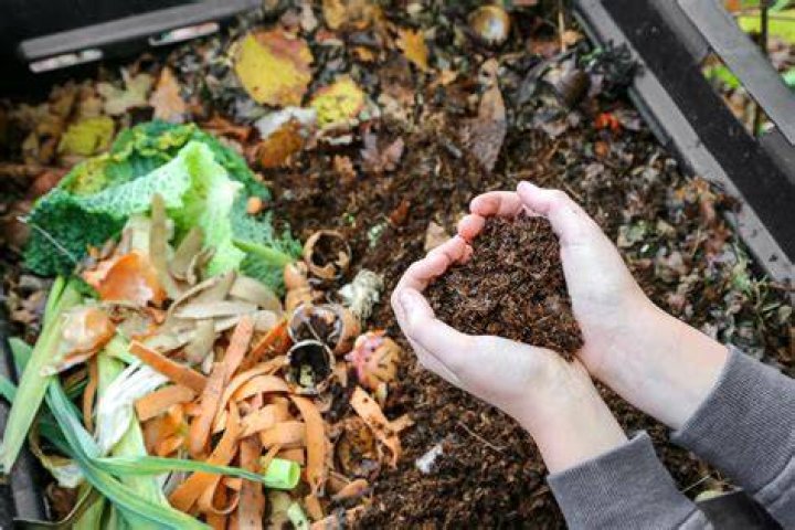 A young person is composting kitchen leftovers on a recycled plastic bin outdoors