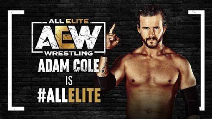 Adam Cole AEW Debut
