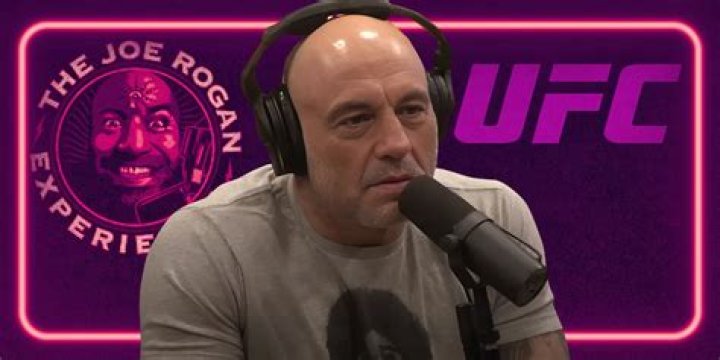 After “Seriously Intense” Podcast, Joe Rogan Gets a Response From UFC Ring Girl
Brittney Palmer for His Incredible Gesture Towards Her