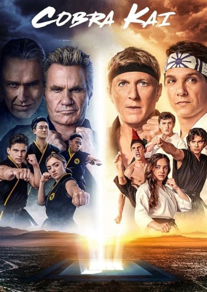 Aisha Robinson Fan Casting for Cobra Kai Season 6 | myCast