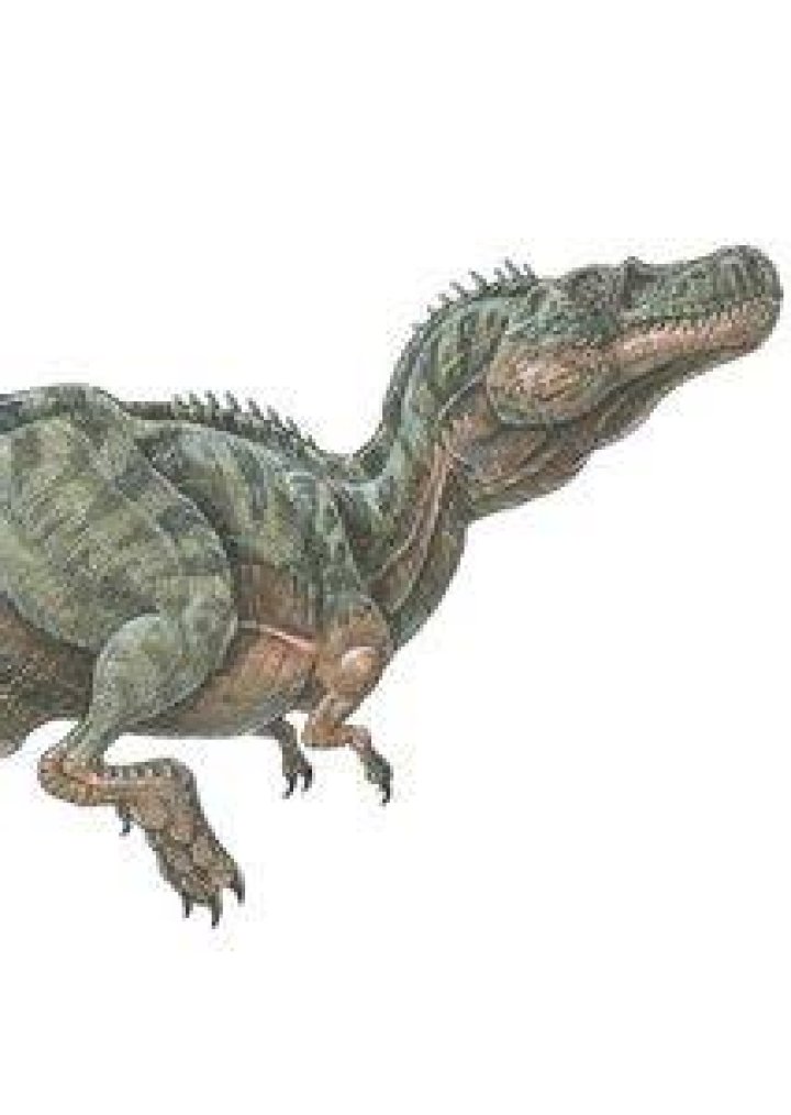 Alectrosaurus Fan Casting