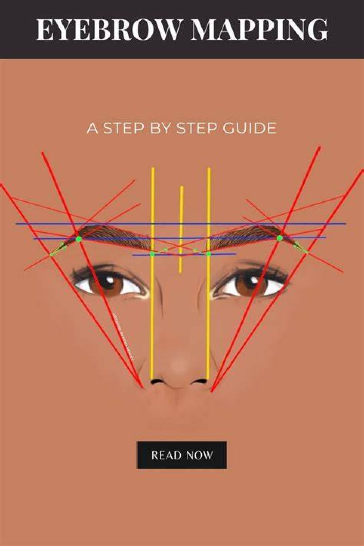 Alis Record: The Ultimate Guide To Understanding And Managing Your Eyebrows
