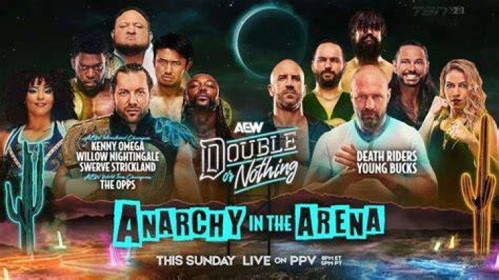 Anarchy In The Arena