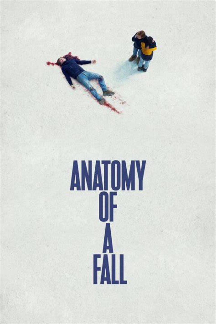 Anatomy of a Fall Movie Poster, Anatomy of a Fall (2023) Classic Movie