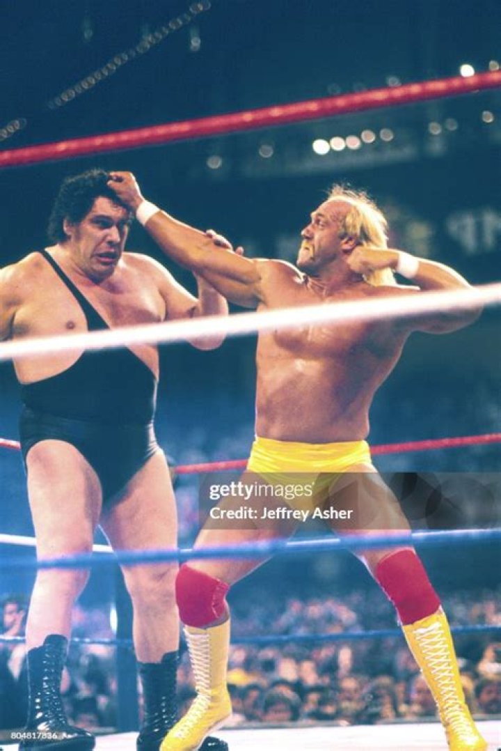 Andre The Giant v Hulk Hogan WrestleMania 3 Cropped