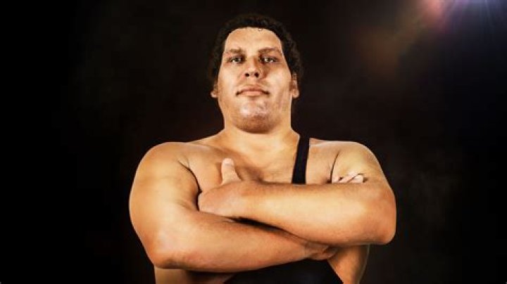andre the giant with wwe title