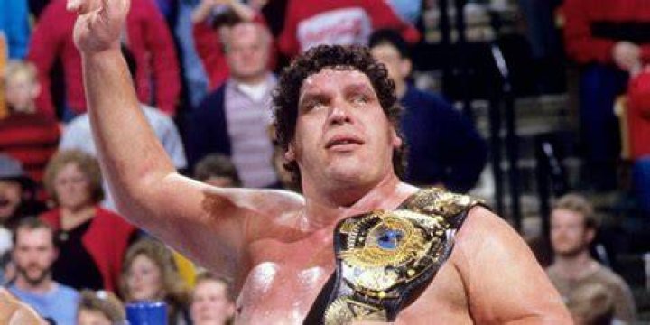 Andre The Giant WWE Champion