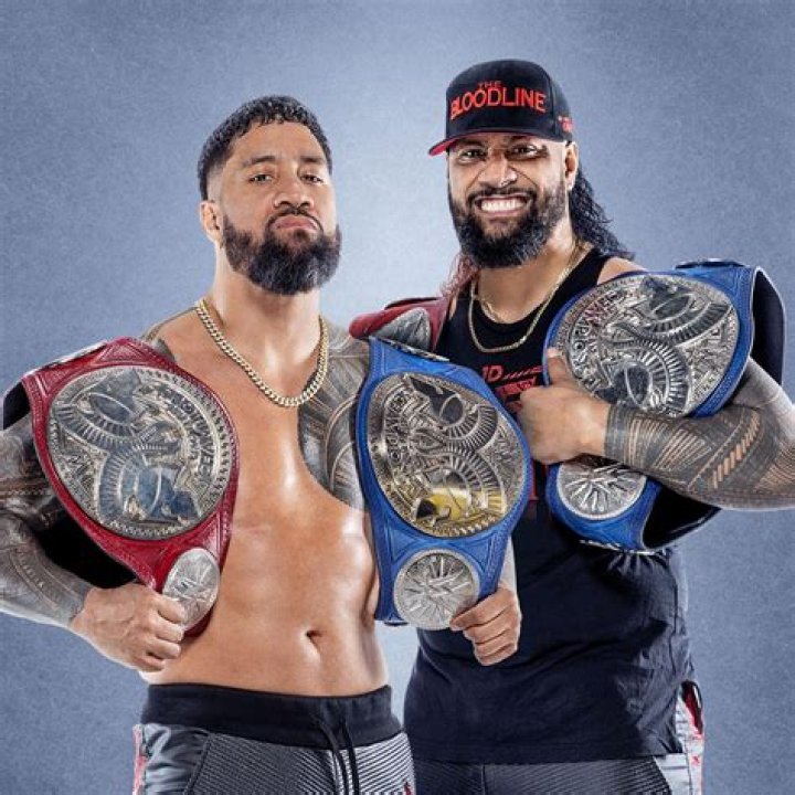 APA WWE Tag Team Champions