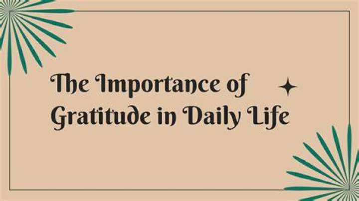 Appreciate You: The Importance Of Gratitude In Daily Life
