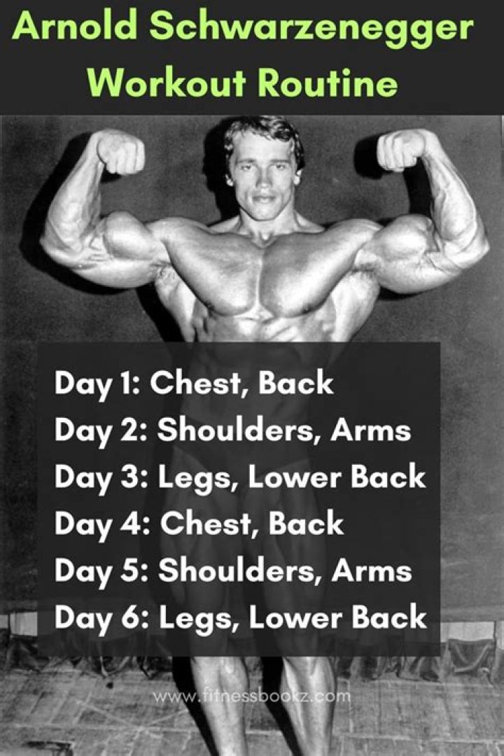 As Part of His $1000 Fitness Challenge, Arnold Schwarzenegger Shares a Grueling
Workout to Finish the Year Strong