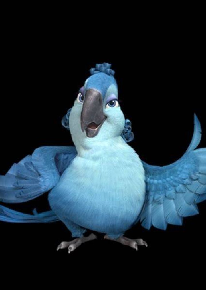 Aunt Mimi (Rio) Fan Casting