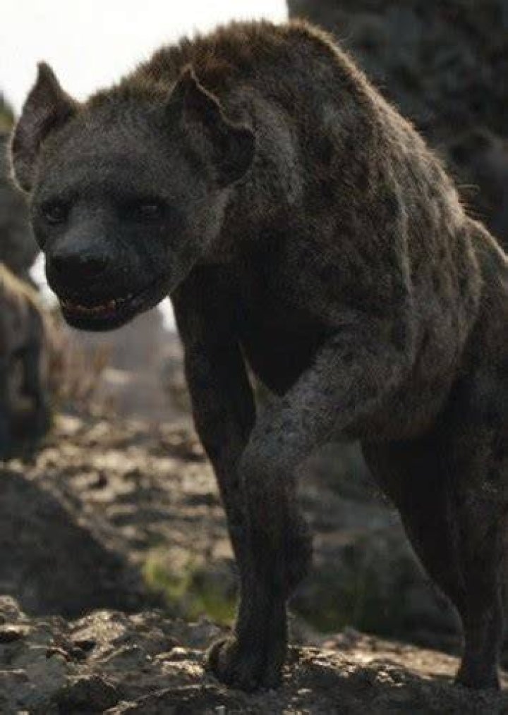 Azizi Fan Casting for The Lion King (2019 Remake) | myCast