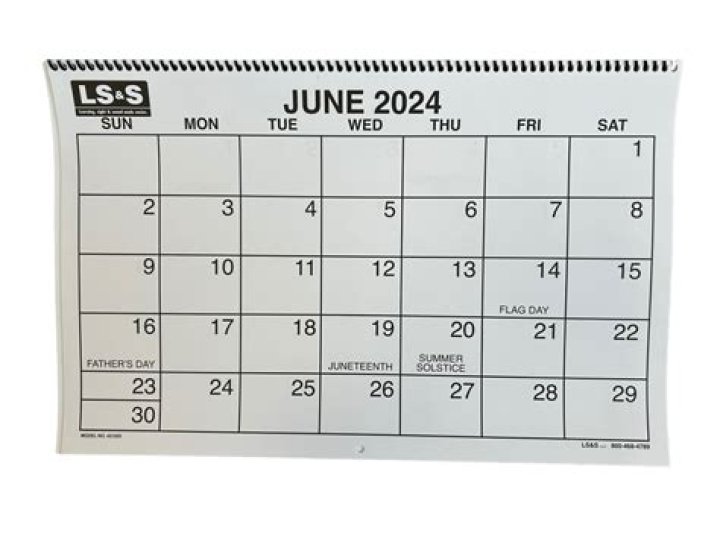 Babes 2024 Wall Calendar
