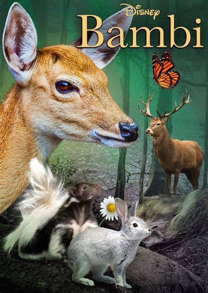 Bambi (Live Action) Fan Casting on myCast