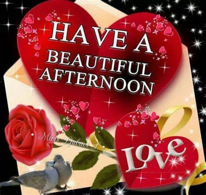 Beautiful Love Good Afternoon Images & Quotes in 2024 Images Vibe