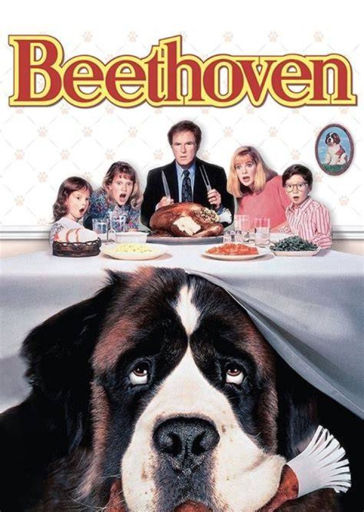 Beethoven Fan Casting on myCast