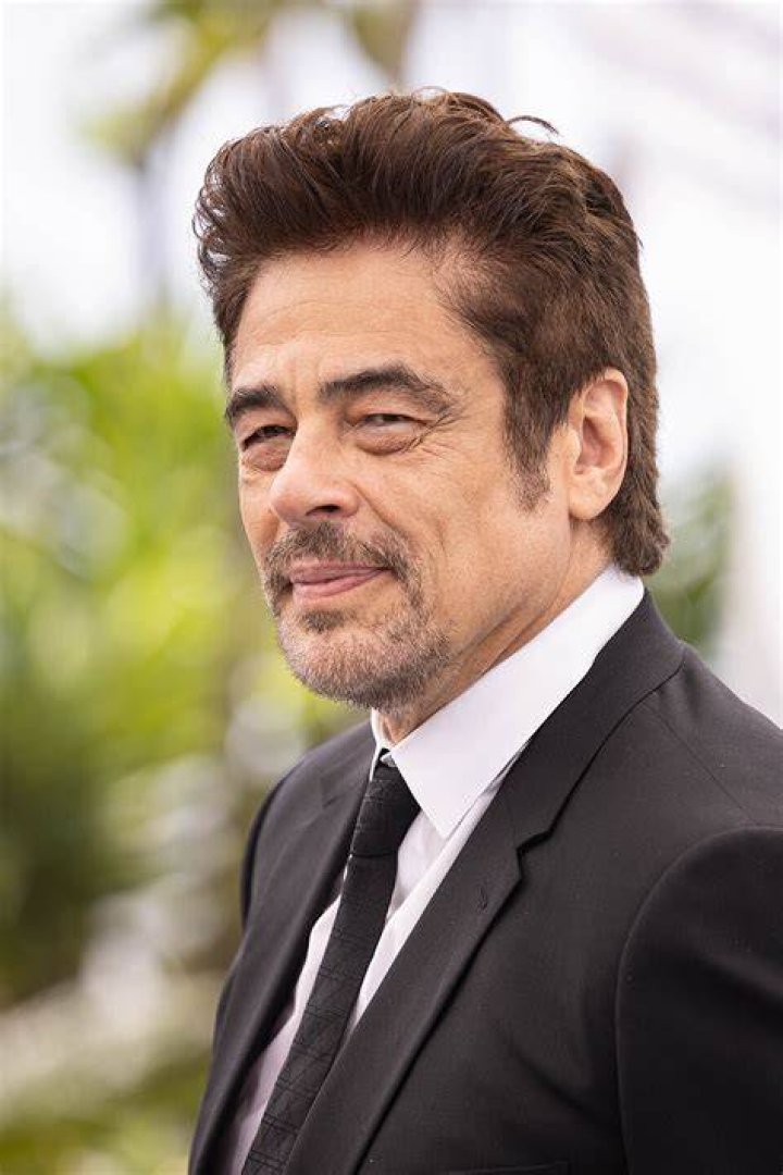 Benicio Del Toro's Wife: A Deep Dive Into Their Relationship And Family Life