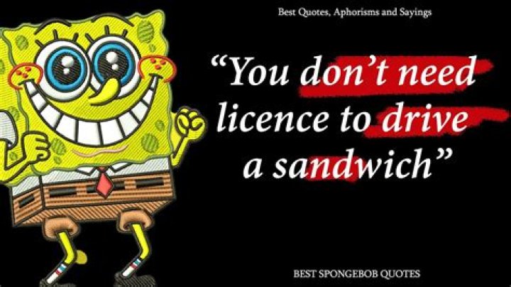 Best 25+ Funny spongebob quotes ideas on Pinterest Spongebob tv