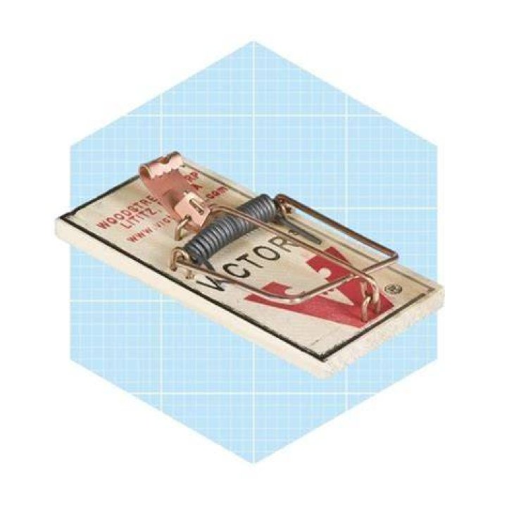 Best Budget Mouse Trap