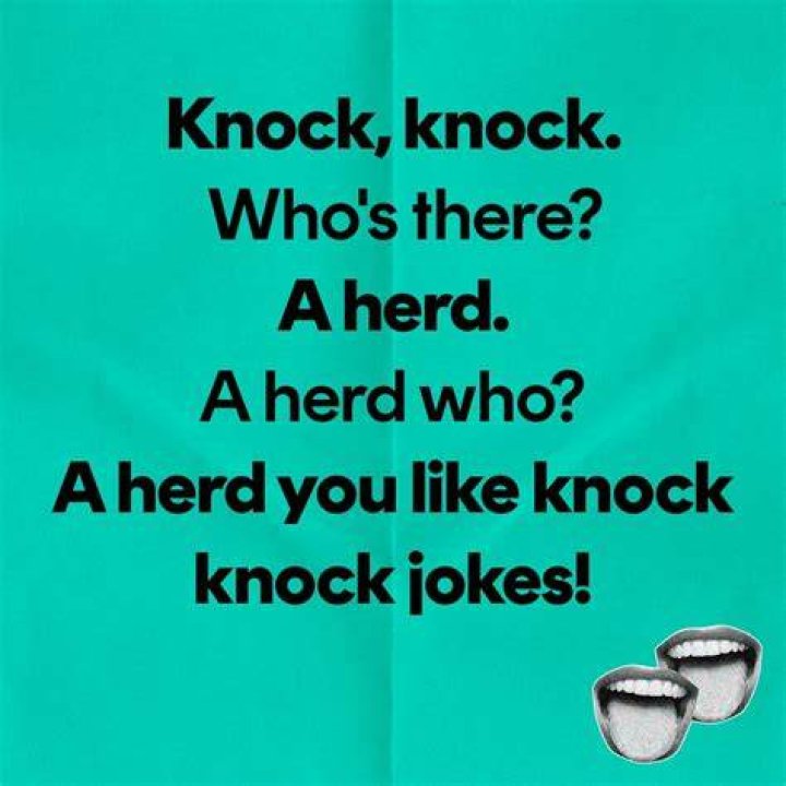 Best Knock Knock Jokes For Girlfriend megiaaume