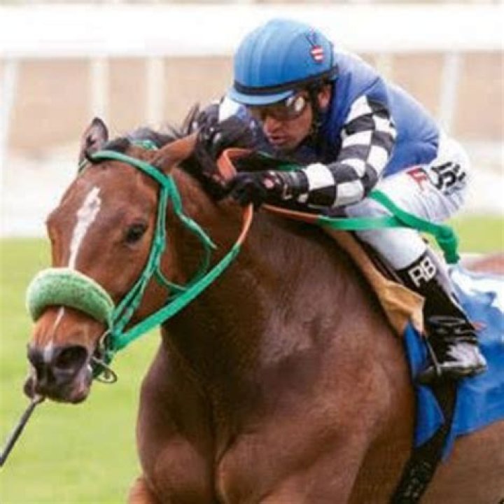 “Best of Luck”: Horse Racing Fans Celebrate Trainer’s Move to Santa Anita After
Long-Standing Stint