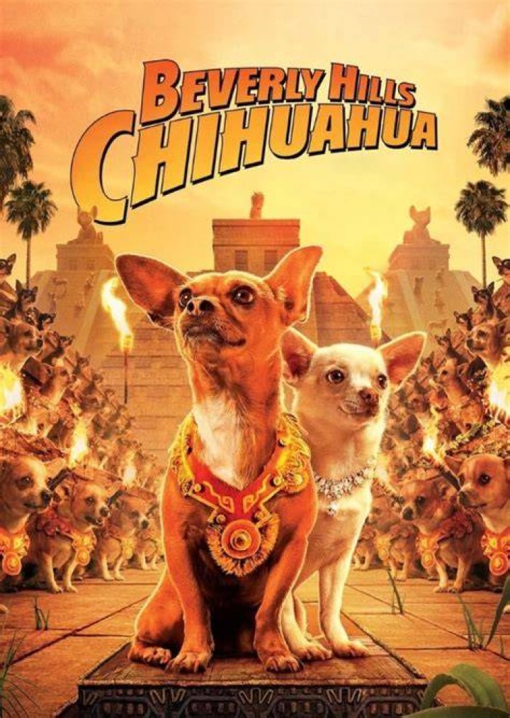 Beverly Hills Chihuahua ( Remake )