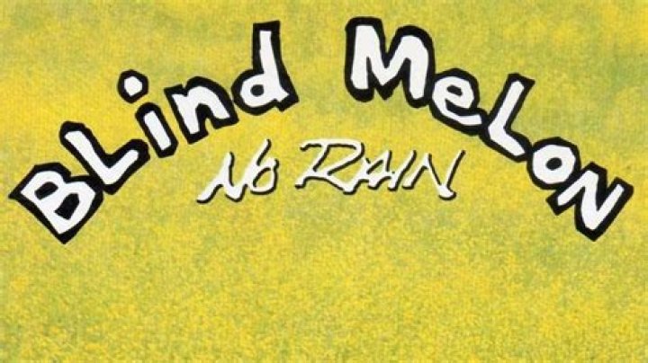Brad Smith Fan Casting for No Rain: The Blind Melon Story | myCast