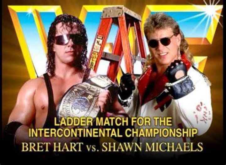 Bret And Shawn 