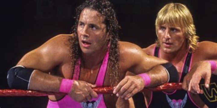 Bret Hart & Owen Hart v The Quebecers Royal Rumble 1994 Cropped