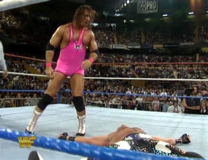 Bret Hart Survivor Series 1993