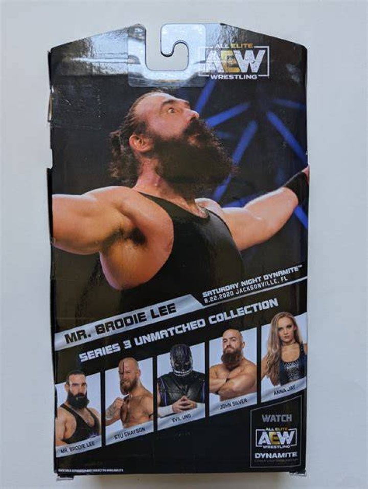 Brodie Lee in the Dark Order