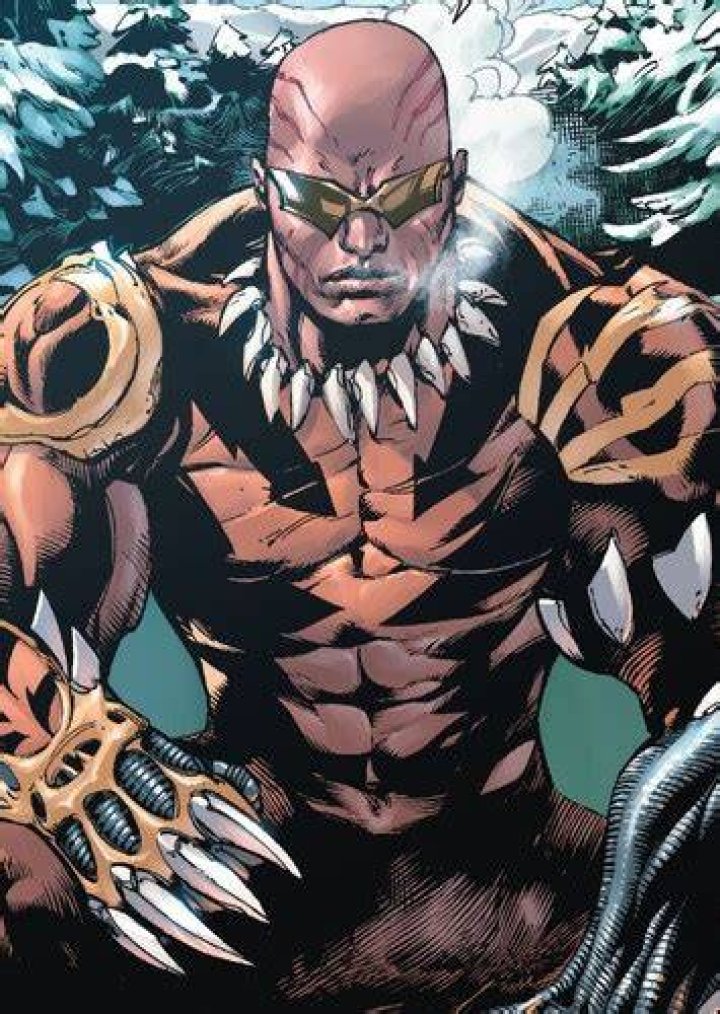 Bronze Tiger Fan Casting for DCU | myCast