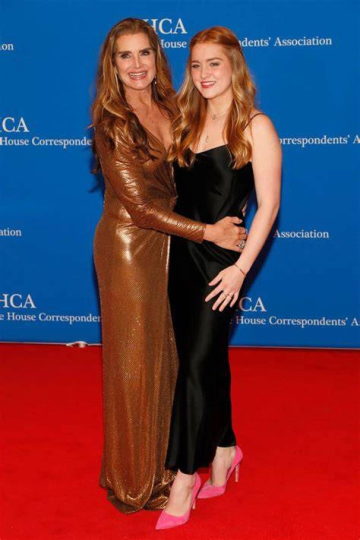 Brooke Shields Rowan Francis Henchy Attend Stock Photo 2224452817