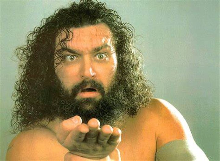 Bruiser Brody picture