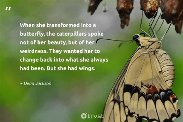 Butterfly Quotes: Embracing Transformation And Beauty